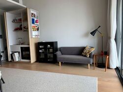 OUE Twin Peaks (D9), Condominium #576054231
